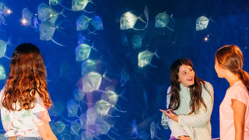 Ocean of Opportunities: Middle School Career Day