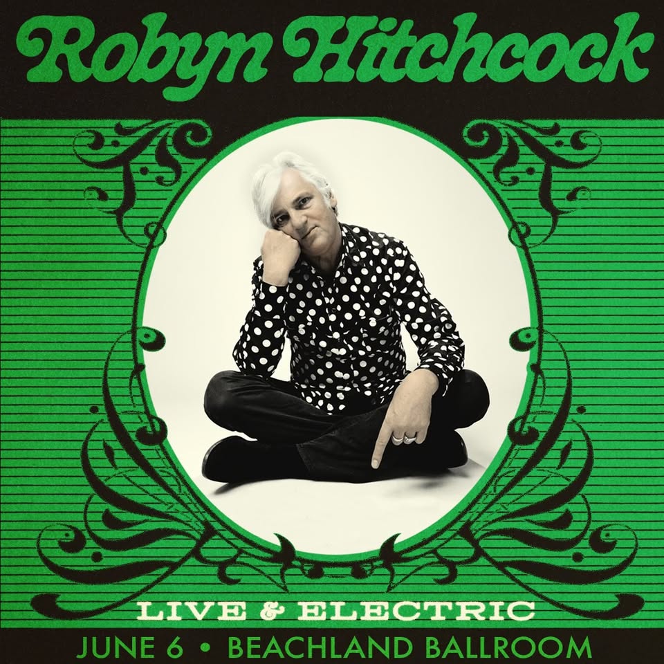 Robyn Hitchcock