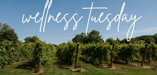 Wellness Tuesday: Pound Fitness Class with the YMCA