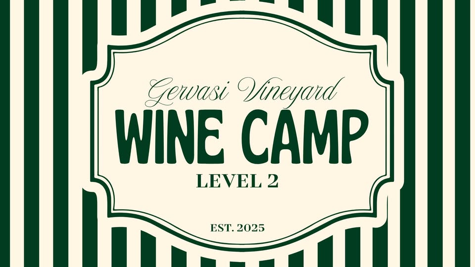 Wine Camp Level 2